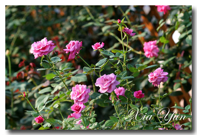 IMG_3208 ����.jpg