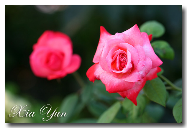 IMG_3211 ����.jpg