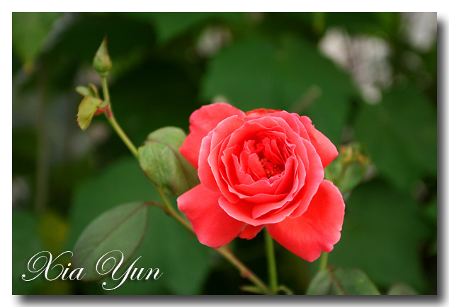 IMG_2033 ����.jpg