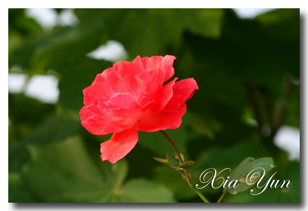 IMG_3201 ����.jpg