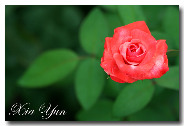 IMG_3175 ����.jpg