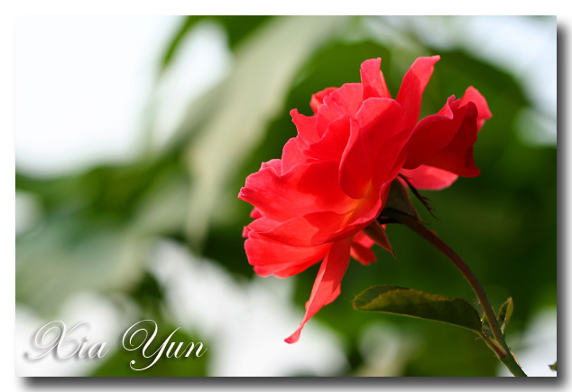 IMG_3227 ����.jpg