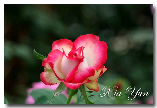 IMG_3356 ����.jpg