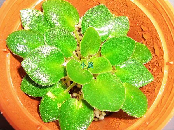 ����ģ���������ôԽ��Խ���������