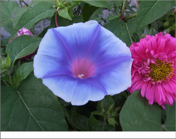 ������С DSCF0058.jpg