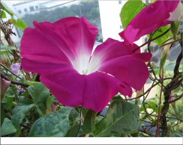 ������С DSCF0001.jpg