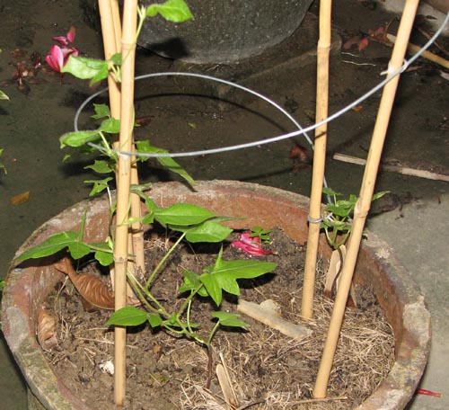 ��ʿ��8��1�ղ���,�Ѿ��л�����,��Ӧ���˳������ţ��