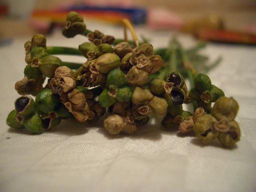 �컨������