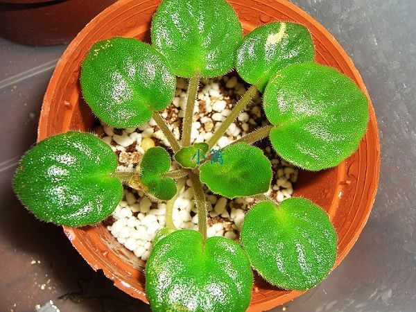 ԭ�����ţ���������ô��Ҳ����