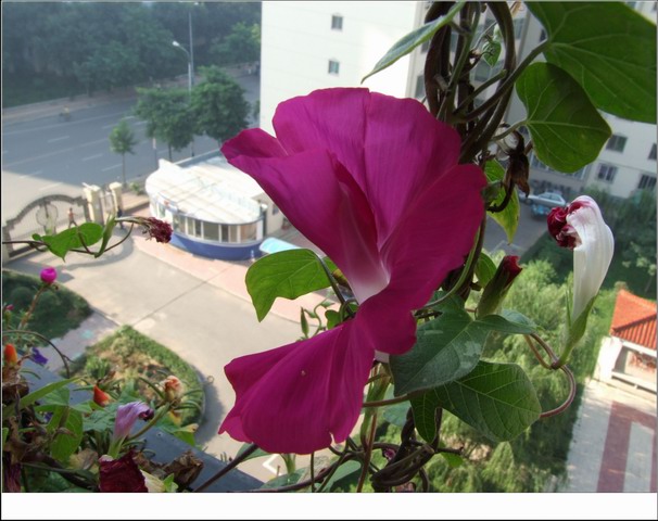 ������С DSCF0007.jpg