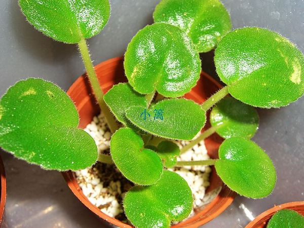 ���������������������أ�