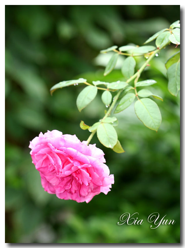 IMG_4054 ����.jpg