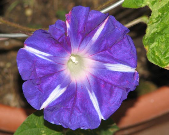 ��ʿ�࿪�ò���