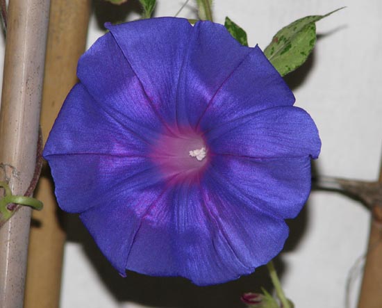 ���ţ��˿��ĸо�,����ĵ�һ��