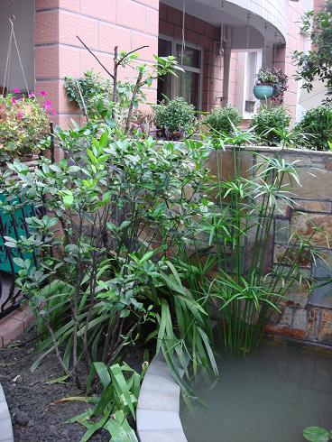 ӣ�ҡ���������ۡ�ˮ���ֵ�һ��ȥ�ˣ���������˳�ۡ�