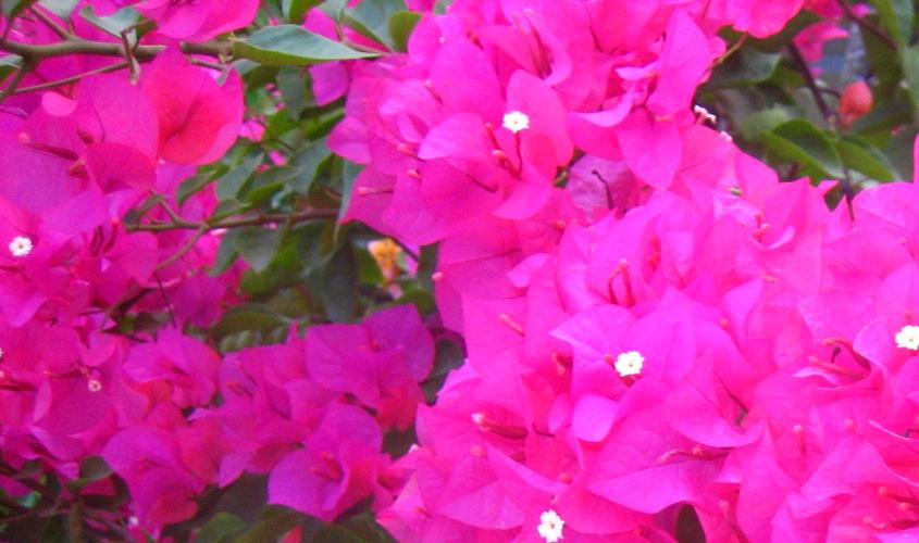 ���� ��Ƭ2007.8.30 033.jpg