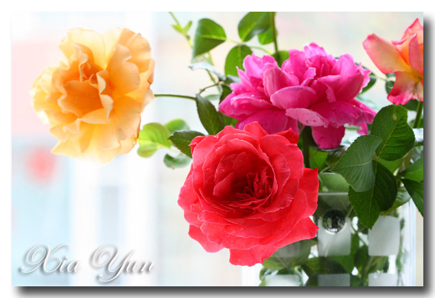 IMG_4082 ����.jpg