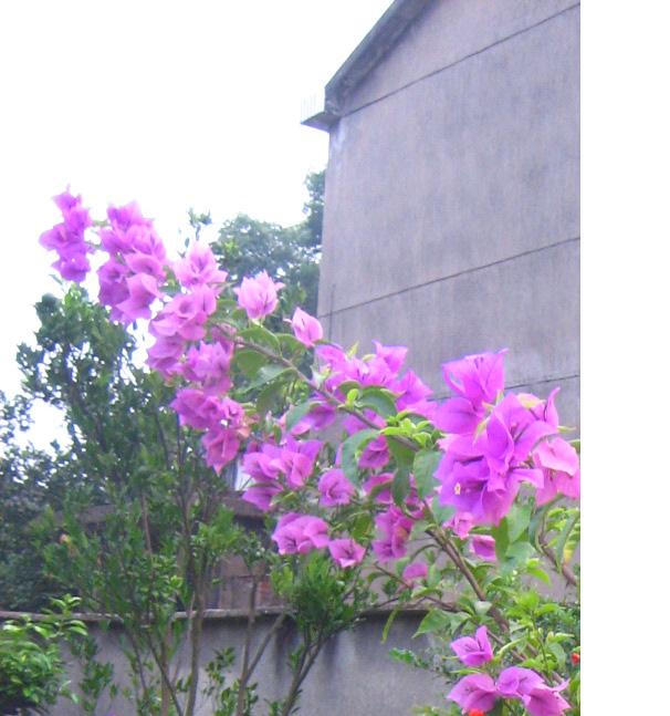 ��Ƭ2007.8.30 027.jpg