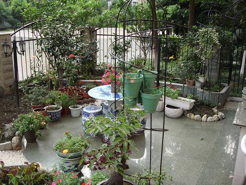 ��ɫ�Ļ���ʯ�̾͵���������Ҫ�������ޣ��һỻ����ʯ��ľ�壬����Ķ����ܸ��˻����� �����ĸо� ...