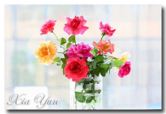 IMG_4073 ����.jpg