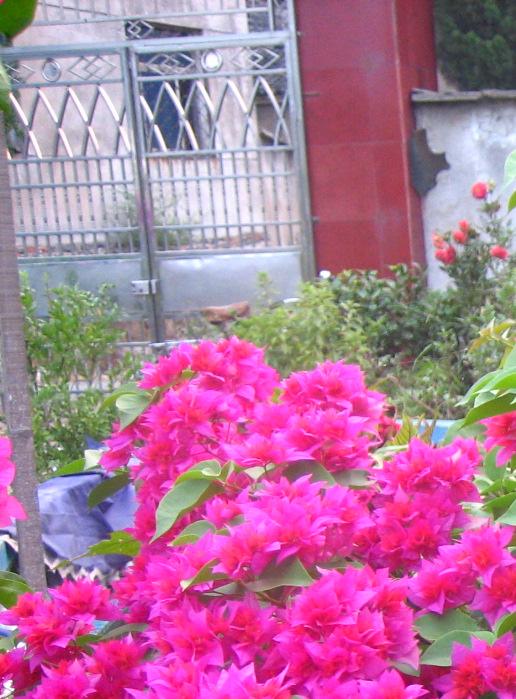 ��Ƭ2007.8.30 031.jpg