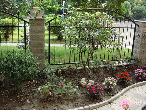 �ߵ�һ�����չ���ǰ�����ر����ţ����컨԰ʱ��æ�޼�����Ū���ѿ��ˡ�