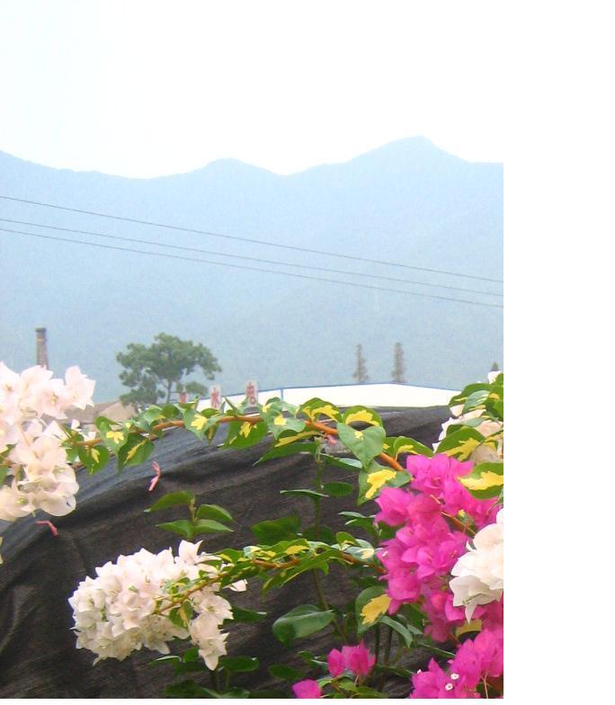 ��Ƭ2007.8.30 021.jpg