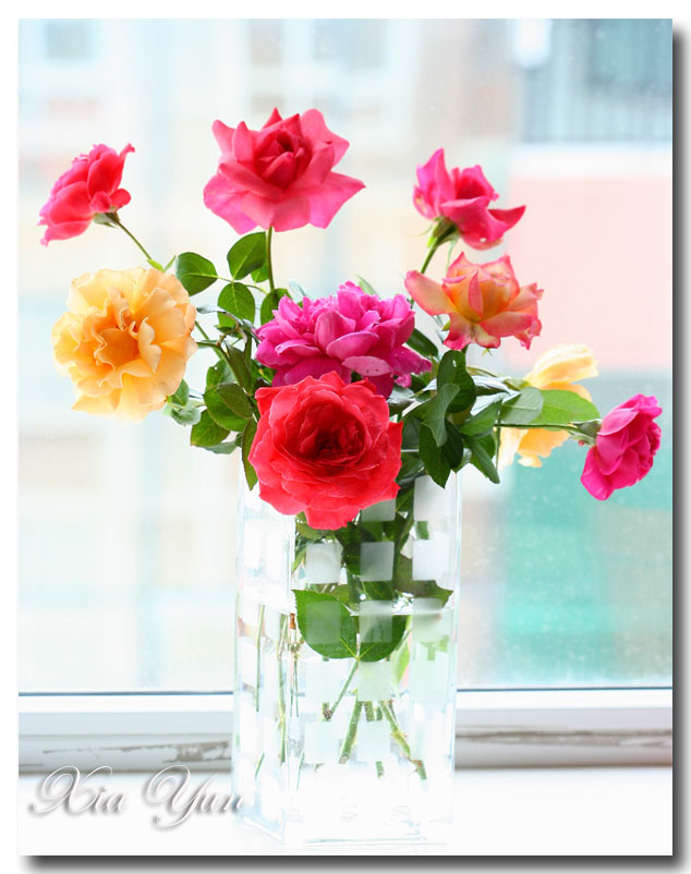 IMG_4089 ����.jpg