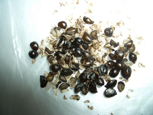 �컨������,�ܶ��ǿյ�