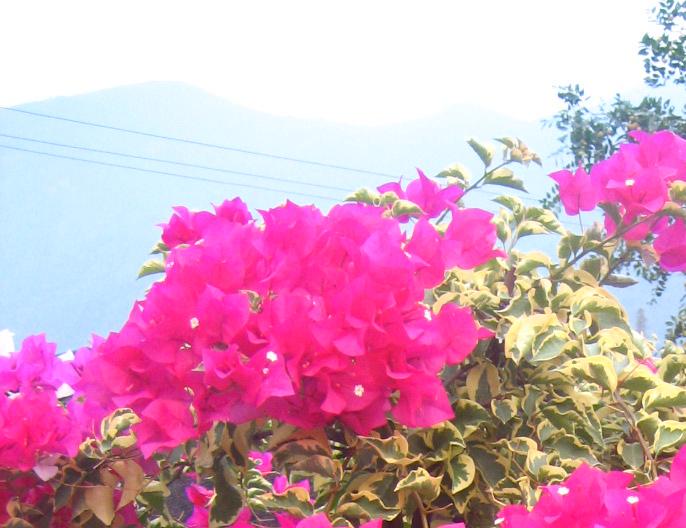 ��Ƭ2007.8.30 022.jpg