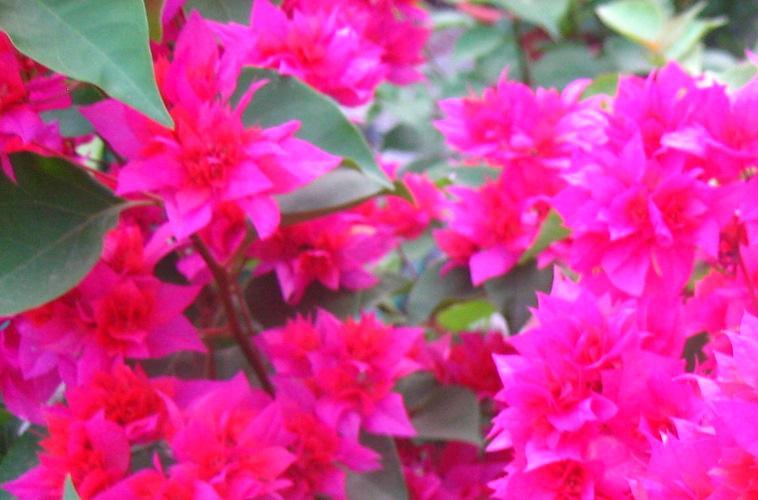 ��Ƭ2007.8.30 032.jpg