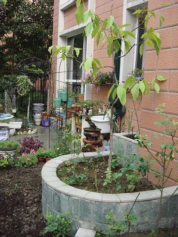 ����Ժ���������ҵ�һ�ǡ�