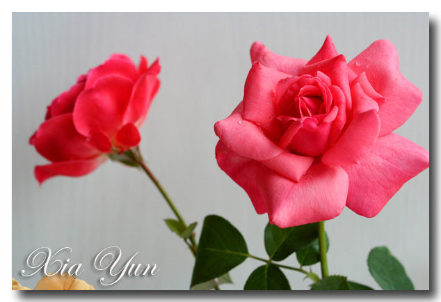 IMG_4077 ����.jpg