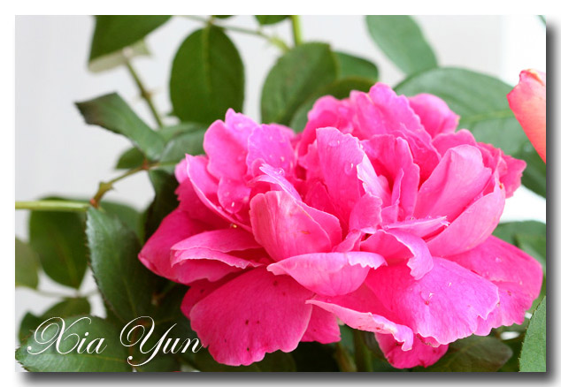 IMG_4080 ����.jpg