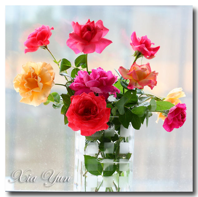 IMG_4076 ����.jpg