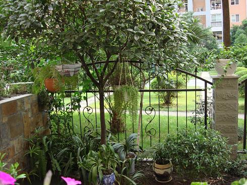 ��һ�λ���ḻһЩ������̫����ǿ���ö���ɹ��ֲ�ﶼ�Ƶ������¡�