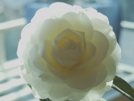 DSCF0401.JPG