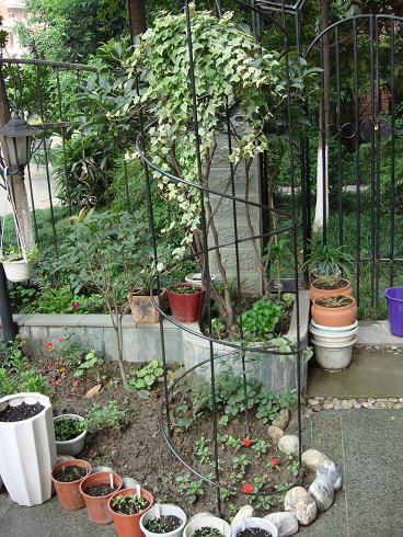 ǰ�����˲�ķǷ￪������С�컨�������������������ú������������ٵ��Ƿ賤������