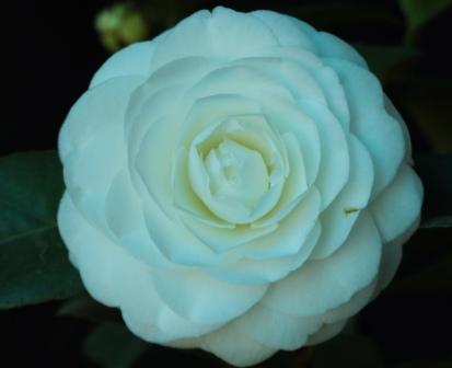 DSCF0362.JPG