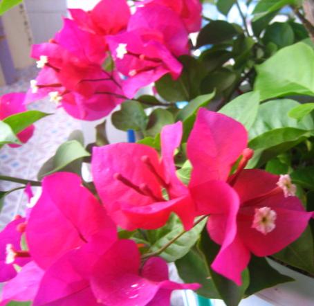 ��Ƭ2007.8.30 109.jpg