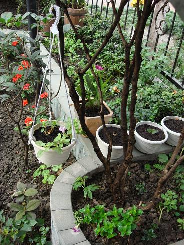 ��԰�������˻�̨�Ժ�о��ֻ��ĵط�����ˡ�