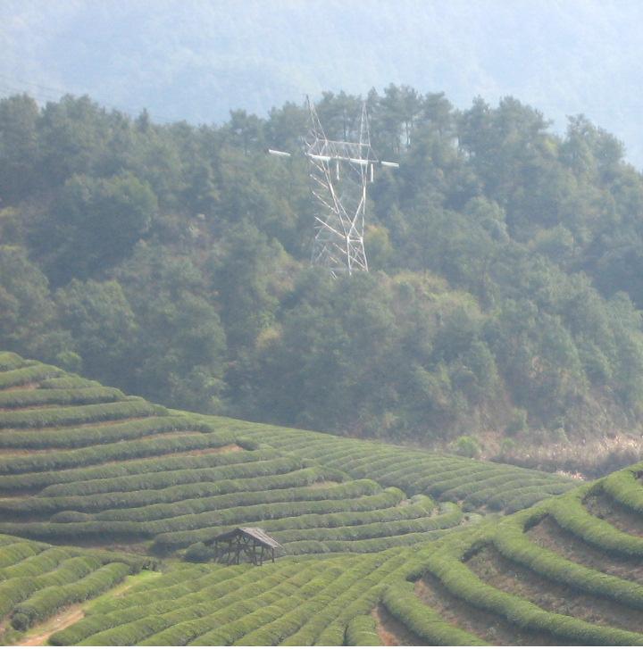 ��Ƭ2007.2.19 235.jpg