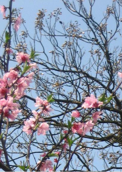 ��Ƭ2007.2.19 285.jpg