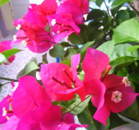 ��Ƭ2007.8.30 114.jpg