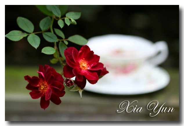 IMG_4356 ����.jpg