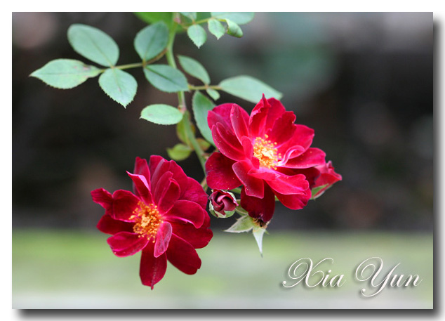 IMG_4340 ����.jpg