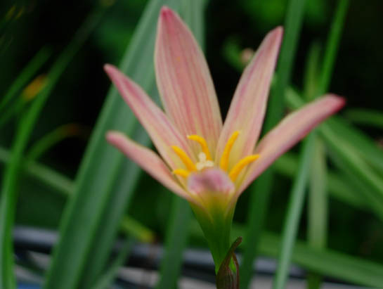 DSCN7872.JPG
