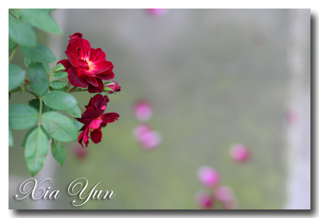 IMG_4347 ����.jpg