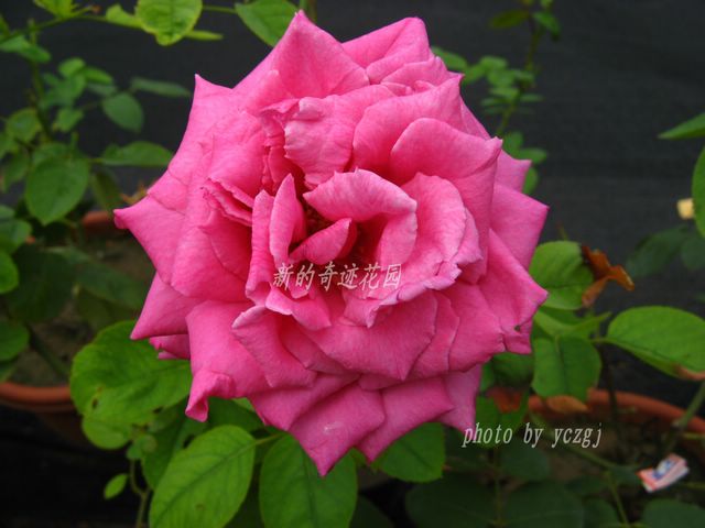 ���� ����.jpg