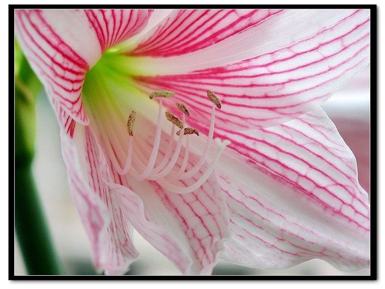 ���� 011.jpg